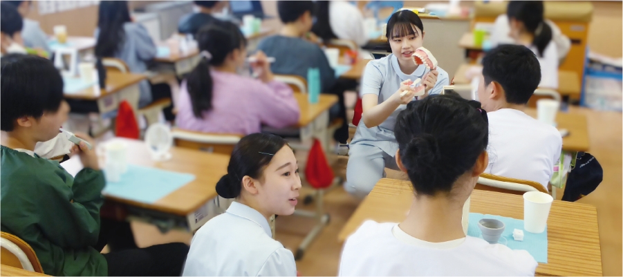 小学校実習歯磨き指導