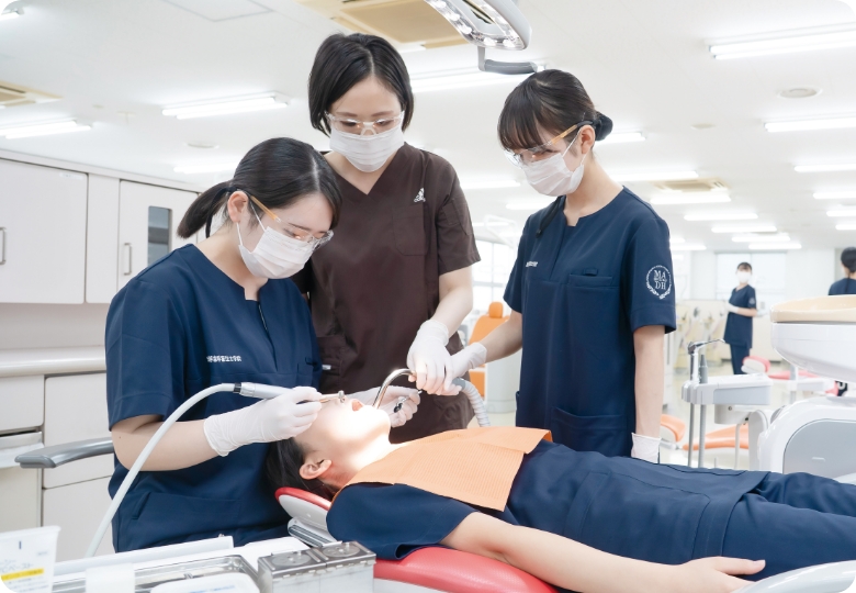 学科・カリキュラム